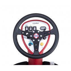 RA 500 Sauber IBCTD Felülős Súroló Automata